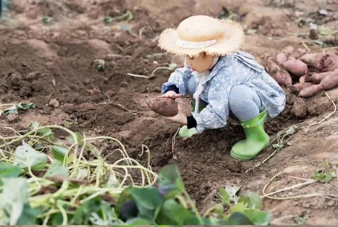 国庆最具性价比的亲子营来了!去隐世小山村,共赴一场稻田音乐会休闲区蓝鸢梦想 - Www.slyday.coM 国庆最具性价比的亲子营来了!去隐世小山村,共赴一场稻田音乐会休闲区蓝鸢梦想 - Www.slyday.coM