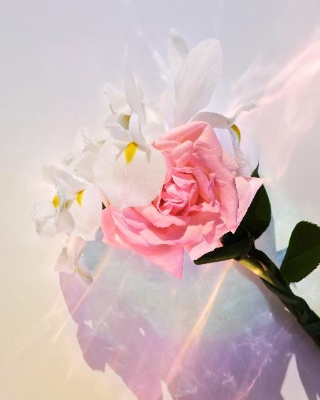 LV 恋印香水 最接近暧昧的香气休闲区蓝鸢梦想 - Www.slyday.coM LV 恋印香水 最接近暧昧的香气休闲区蓝鸢梦想 - Www.slyday.coM