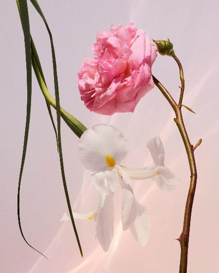 LV 恋印香水 最接近暧昧的香气休闲区蓝鸢梦想 - Www.slyday.coM LV 恋印香水 最接近暧昧的香气休闲区蓝鸢梦想 - Www.slyday.coM