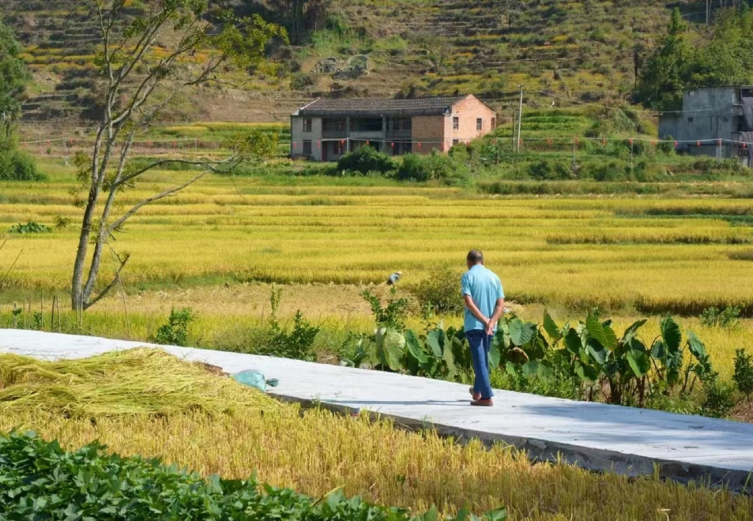 国庆最具性价比的亲子营来了!去隐世小山村,共赴一场稻田音乐会休闲区蓝鸢梦想 - Www.slyday.coM 国庆最具性价比的亲子营来了!去隐世小山村,共赴一场稻田音乐会休闲区蓝鸢梦想 - Www.slyday.coM