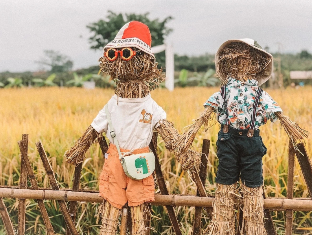 国庆最具性价比的亲子营来了!去隐世小山村,共赴一场稻田音乐会休闲区蓝鸢梦想 - Www.slyday.coM 国庆最具性价比的亲子营来了!去隐世小山村,共赴一场稻田音乐会休闲区蓝鸢梦想 - Www.slyday.coM