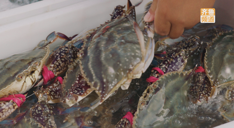 赤橙黄绿青蓝紫!山东丰收“色号”,你碗里的颜色山东都有休闲区蓝鸢梦想 - Www.slyday.coM 赤橙黄绿青蓝紫!山东丰收“色号”,你碗里的颜色山东都有休闲区蓝鸢梦想 - Www.slyday.coM