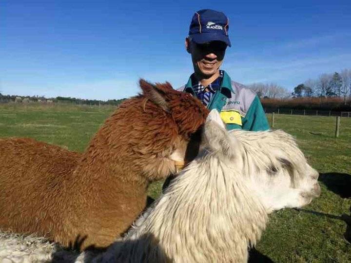 05年产的时风拖拉机在新西兰重获新生!你可以永远相信山东好品休闲区蓝鸢梦想 - Www.slyday.coM 05年产的时风拖拉机在新西兰重获新生!你可以永远相信山东好品休闲区蓝鸢梦想 - Www.slyday.coM