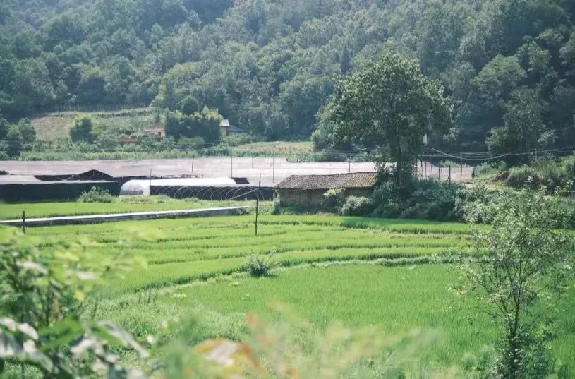 国庆最具性价比的亲子营来了!去隐世小山村,共赴一场稻田音乐会休闲区蓝鸢梦想 - Www.slyday.coM 国庆最具性价比的亲子营来了!去隐世小山村,共赴一场稻田音乐会休闲区蓝鸢梦想 - Www.slyday.coM