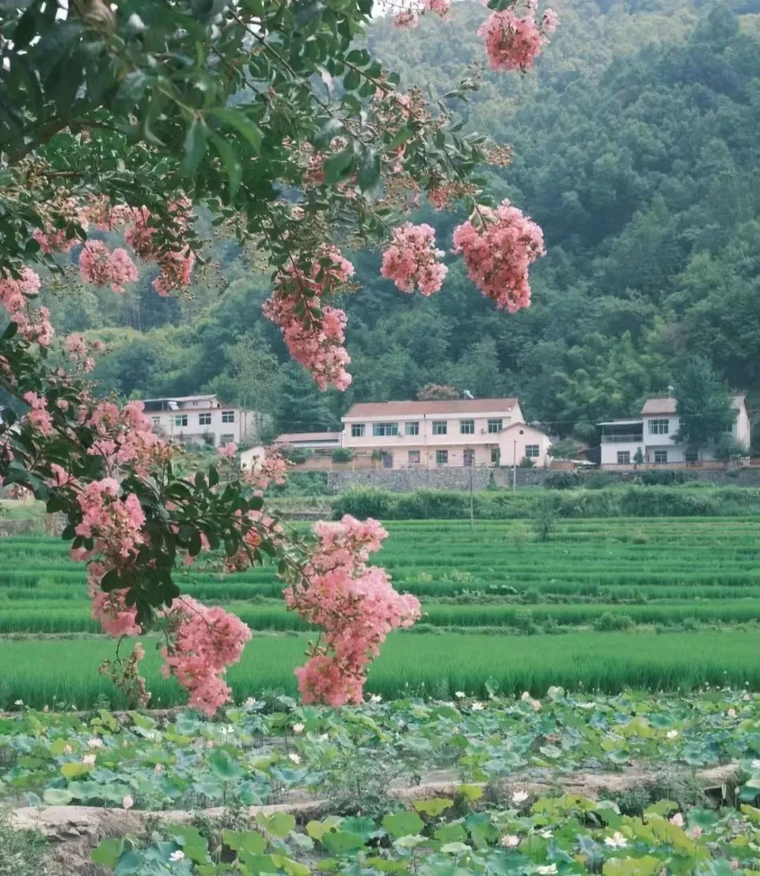 国庆最具性价比的亲子营来了!去隐世小山村,共赴一场稻田音乐会休闲区蓝鸢梦想 - Www.slyday.coM 国庆最具性价比的亲子营来了!去隐世小山村,共赴一场稻田音乐会休闲区蓝鸢梦想 - Www.slyday.coM