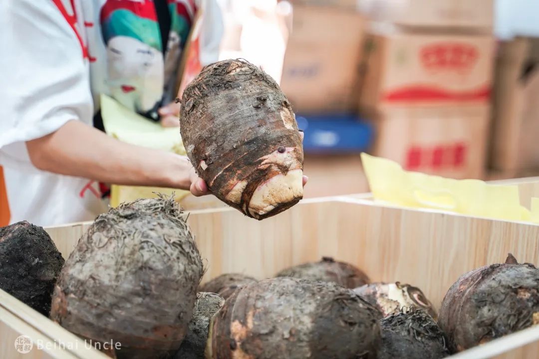 北海人逛了还想逛的大集,究竟有多便宜?休闲区蓝鸢梦想 - Www.slyday.coM 北海人逛了还想逛的大集,究竟有多便宜?休闲区蓝鸢梦想 - Www.slyday.coM