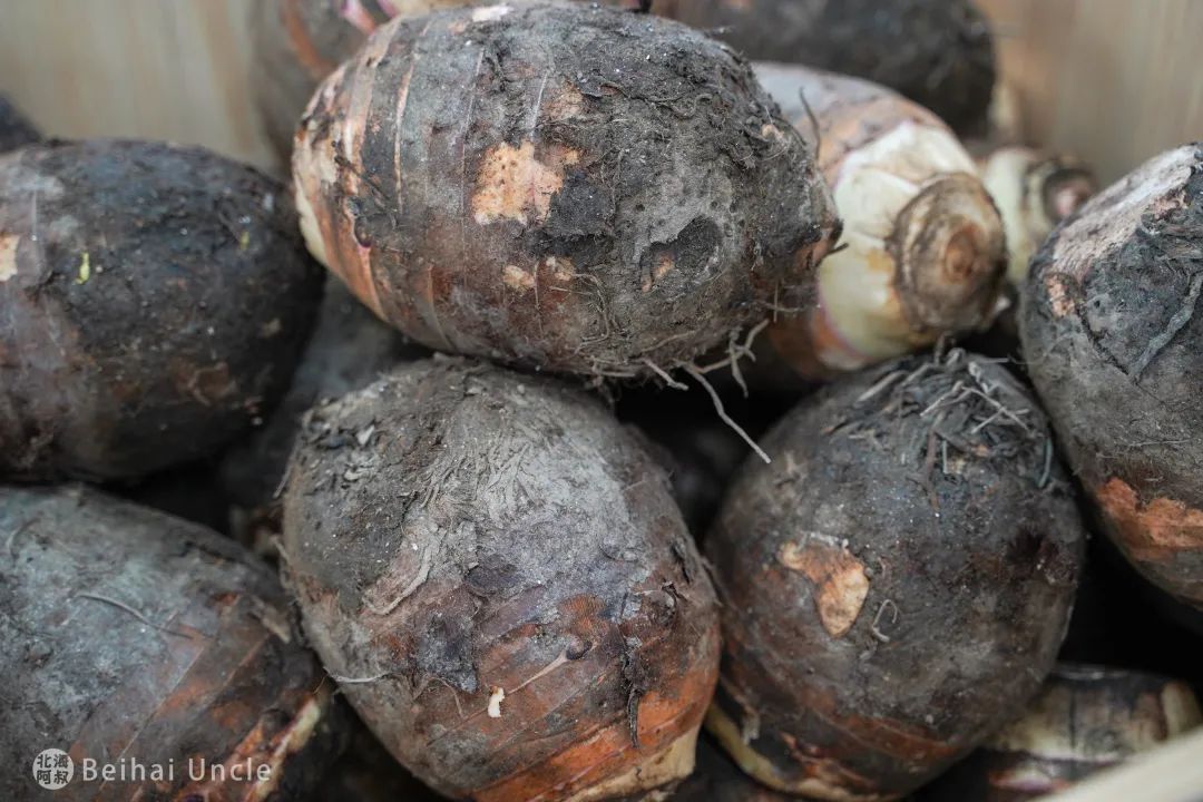 北海人逛了还想逛的大集,究竟有多便宜?休闲区蓝鸢梦想 - Www.slyday.coM 北海人逛了还想逛的大集,究竟有多便宜?休闲区蓝鸢梦想 - Www.slyday.coM