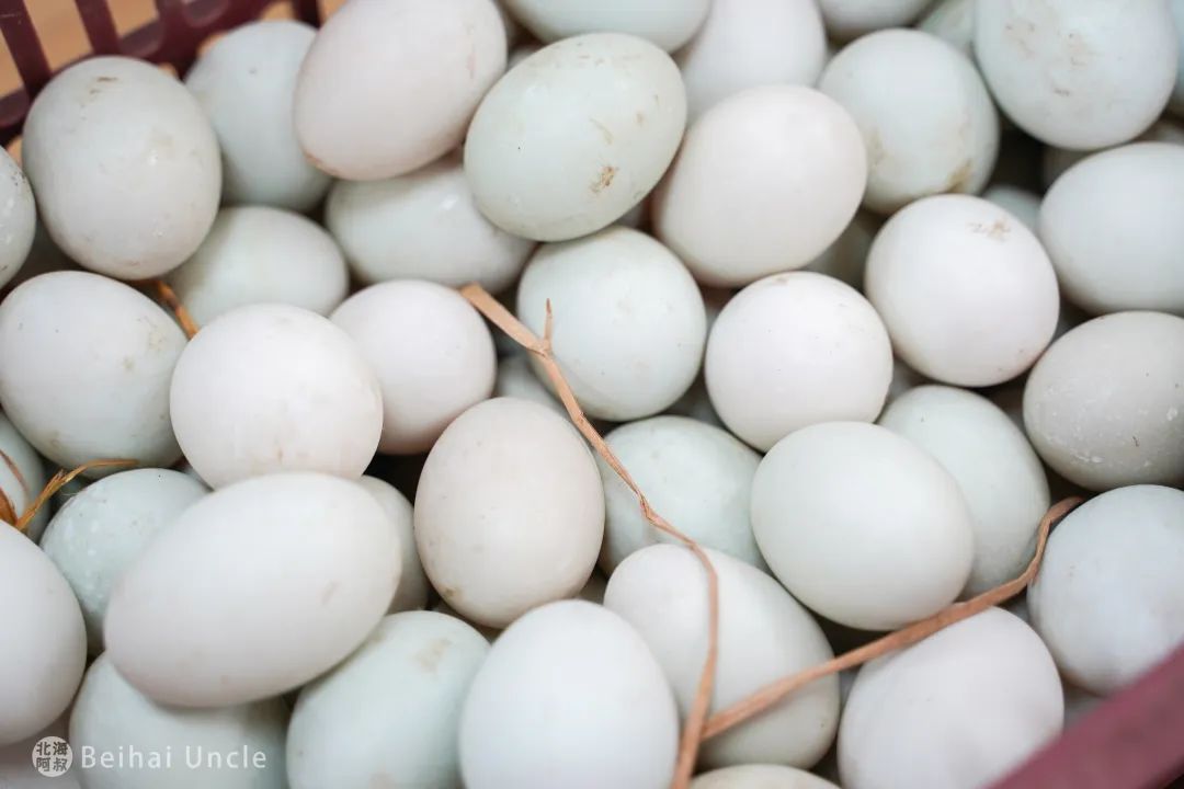 北海人逛了还想逛的大集,究竟有多便宜?休闲区蓝鸢梦想 - Www.slyday.coM 北海人逛了还想逛的大集,究竟有多便宜?休闲区蓝鸢梦想 - Www.slyday.coM