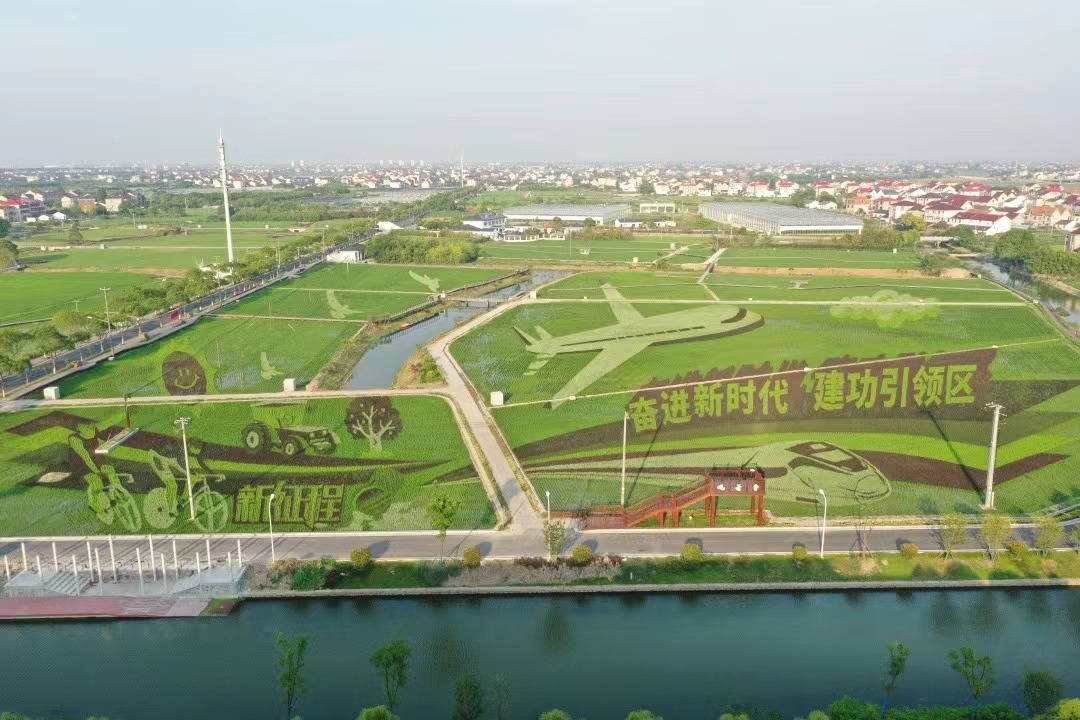 亲子收割、稻田绘还有露营!惠南丰收节开幕啦,来看乡村好“丰”景休闲区蓝鸢梦想 - Www.slyday.coM 亲子收割、稻田绘还有露营!惠南丰收节开幕啦,来看乡村好“丰”景休闲区蓝鸢梦想 - Www.slyday.coM