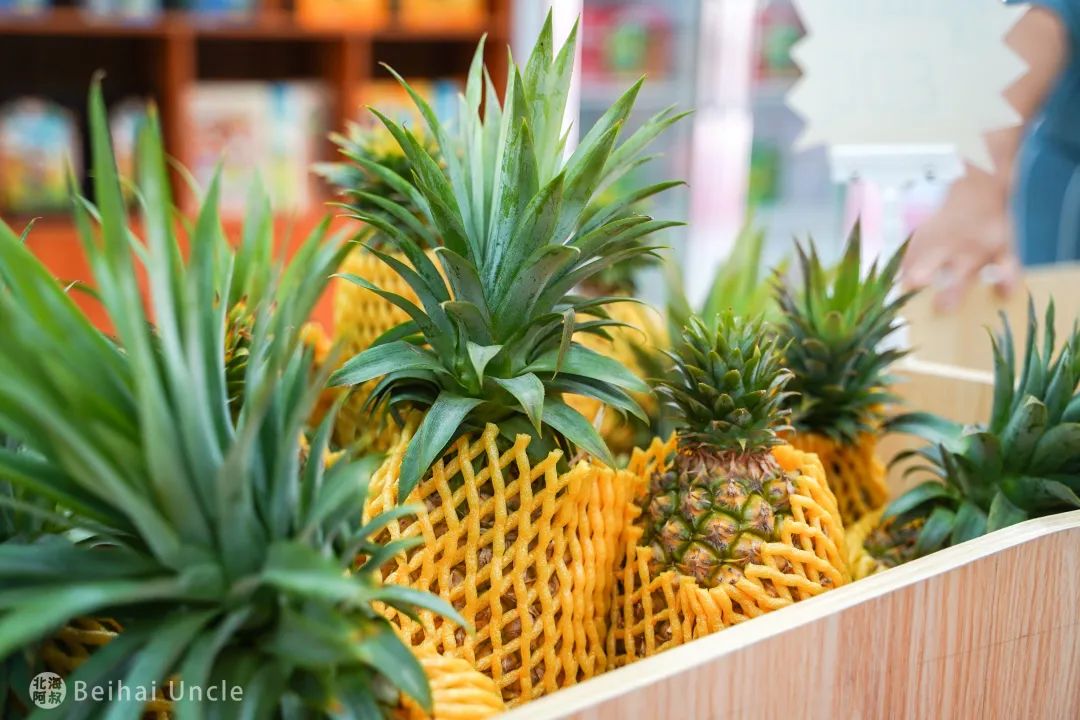 北海人逛了还想逛的大集,究竟有多便宜?休闲区蓝鸢梦想 - Www.slyday.coM 北海人逛了还想逛的大集,究竟有多便宜?休闲区蓝鸢梦想 - Www.slyday.coM