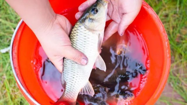 楚雄南华将于9月25日举行2022年中国农民丰收节庆祝活动休闲区蓝鸢梦想 - Www.slyday.coM 楚雄南华将于9月25日举行2022年中国农民丰收节庆祝活动休闲区蓝鸢梦想 - Www.slyday.coM