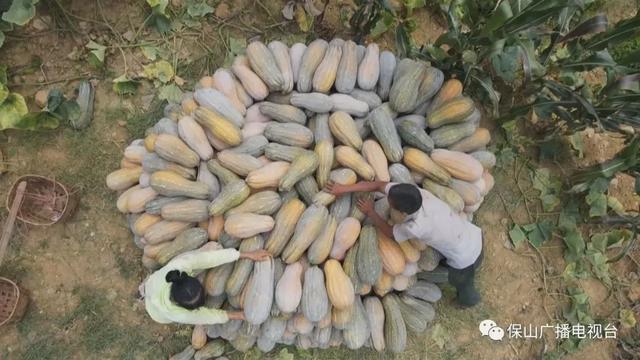 就这样惊艳了秋天|这一抹“丰收黄”,便是云南最纯粹的秋色休闲区蓝鸢梦想 - Www.slyday.coM 就这样惊艳了秋天|这一抹“丰收黄”,便是云南最纯粹的秋色休闲区蓝鸢梦想 - Www.slyday.coM