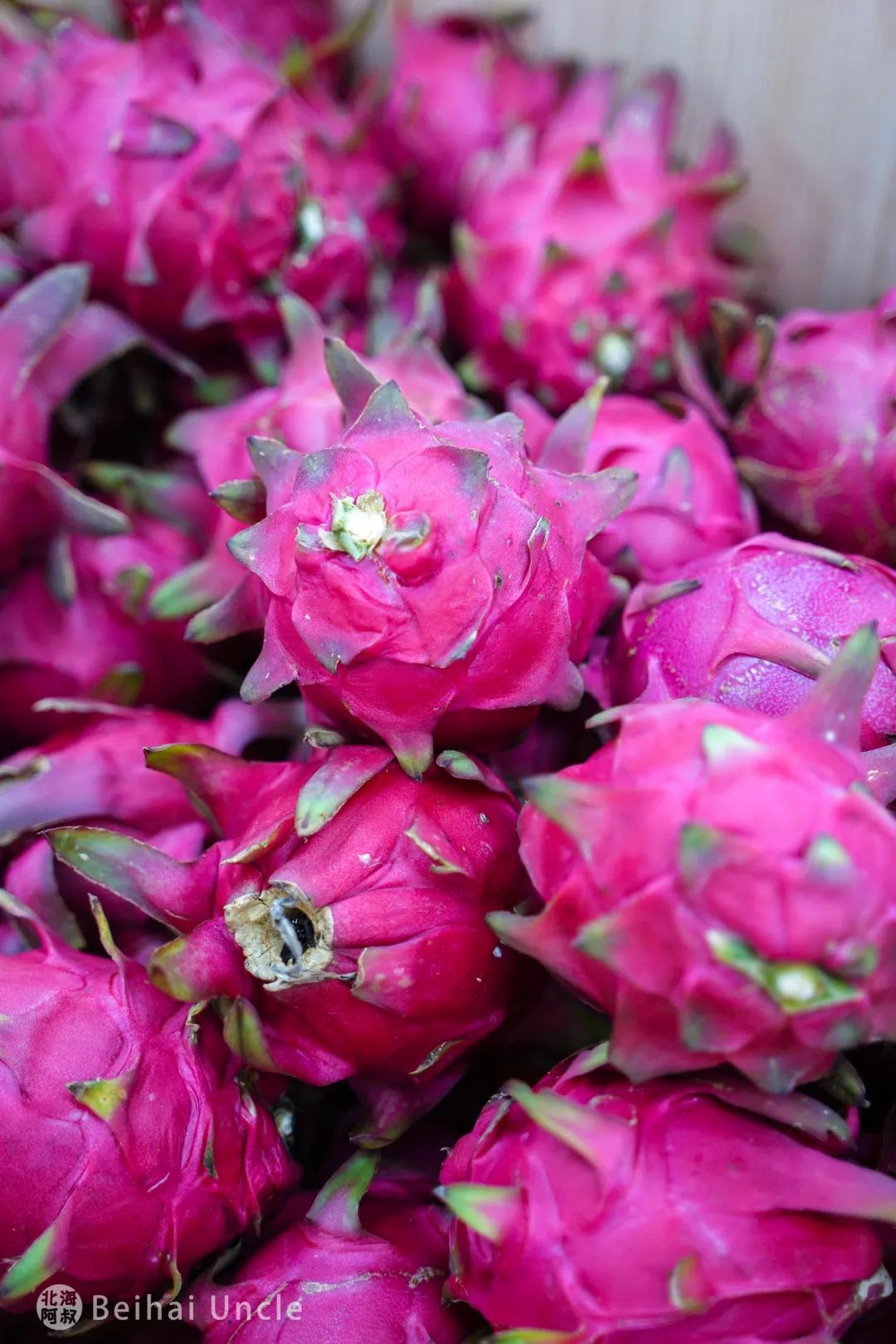 北海人逛了还想逛的大集,究竟有多便宜?休闲区蓝鸢梦想 - Www.slyday.coM 北海人逛了还想逛的大集,究竟有多便宜?休闲区蓝鸢梦想 - Www.slyday.coM