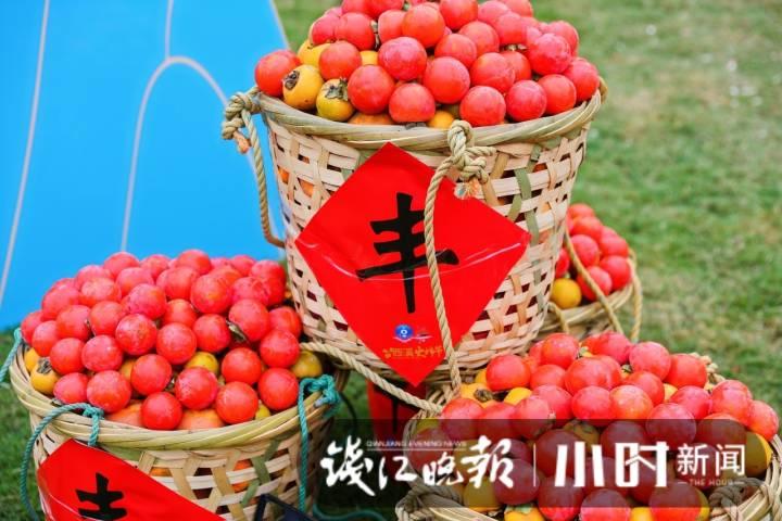 西溪火柿节又来啦!国庆长假正是最佳采摘时间,带家人一起来享受这份甜蜜吧休闲区蓝鸢梦想 - Www.slyday.coM 西溪火柿节又来啦!国庆长假正是最佳采摘时间,带家人一起来享受这份甜蜜吧休闲区蓝鸢梦想 - Www.slyday.coM