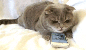 一到秋天,嘴唇就起皮?这些知识用得着!休闲区蓝鸢梦想 - Www.slyday.coM 一到秋天,嘴唇就起皮?这些知识用得着!休闲区蓝鸢梦想 - Www.slyday.coM