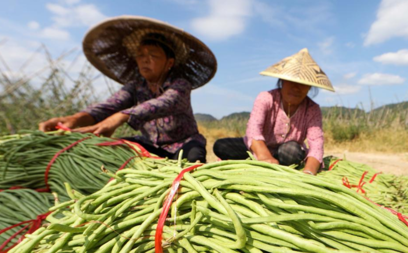 当秋分碰上丰收节!丰收的色彩惊艳了大地,一起看贵州各地秋收图→休闲区蓝鸢梦想 - Www.slyday.coM 当秋分碰上丰收节!丰收的色彩惊艳了大地,一起看贵州各地秋收图→休闲区蓝鸢梦想 - Www.slyday.coM