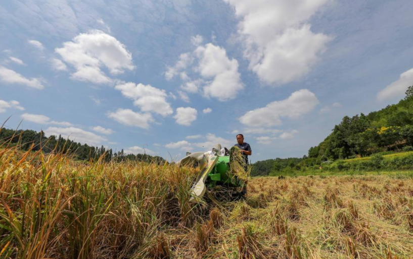 当秋分碰上丰收节!丰收的色彩惊艳了大地,一起看贵州各地秋收图→休闲区蓝鸢梦想 - Www.slyday.coM 当秋分碰上丰收节!丰收的色彩惊艳了大地,一起看贵州各地秋收图→休闲区蓝鸢梦想 - Www.slyday.coM