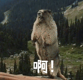 越爱吃红肉的男人,越有可能是性别歧视者!你觉得这准吗?休闲区蓝鸢梦想 - Www.slyday.coM 越爱吃红肉的男人,越有可能是性别歧视者!你觉得这准吗?休闲区蓝鸢梦想 - Www.slyday.coM