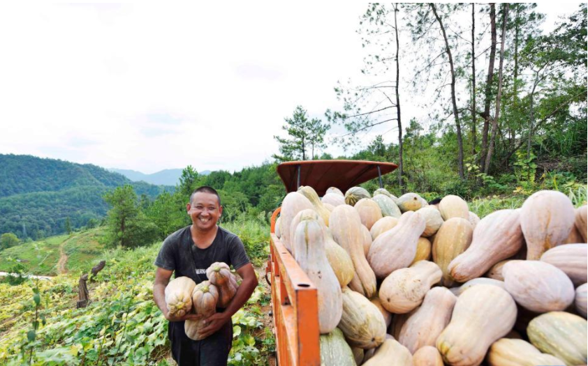当秋分碰上丰收节!丰收的色彩惊艳了大地,一起看贵州各地秋收图→休闲区蓝鸢梦想 - Www.slyday.coM 当秋分碰上丰收节!丰收的色彩惊艳了大地,一起看贵州各地秋收图→休闲区蓝鸢梦想 - Www.slyday.coM