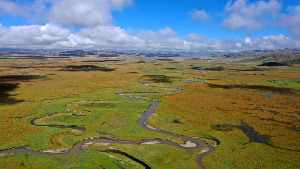 秋日“黄河蓄水池”玛曲湿地 每次定格都美若壁纸休闲区蓝鸢梦想 - Www.slyday.coM 秋日“黄河蓄水池”玛曲湿地 每次定格都美若壁纸休闲区蓝鸢梦想 - Www.slyday.coM