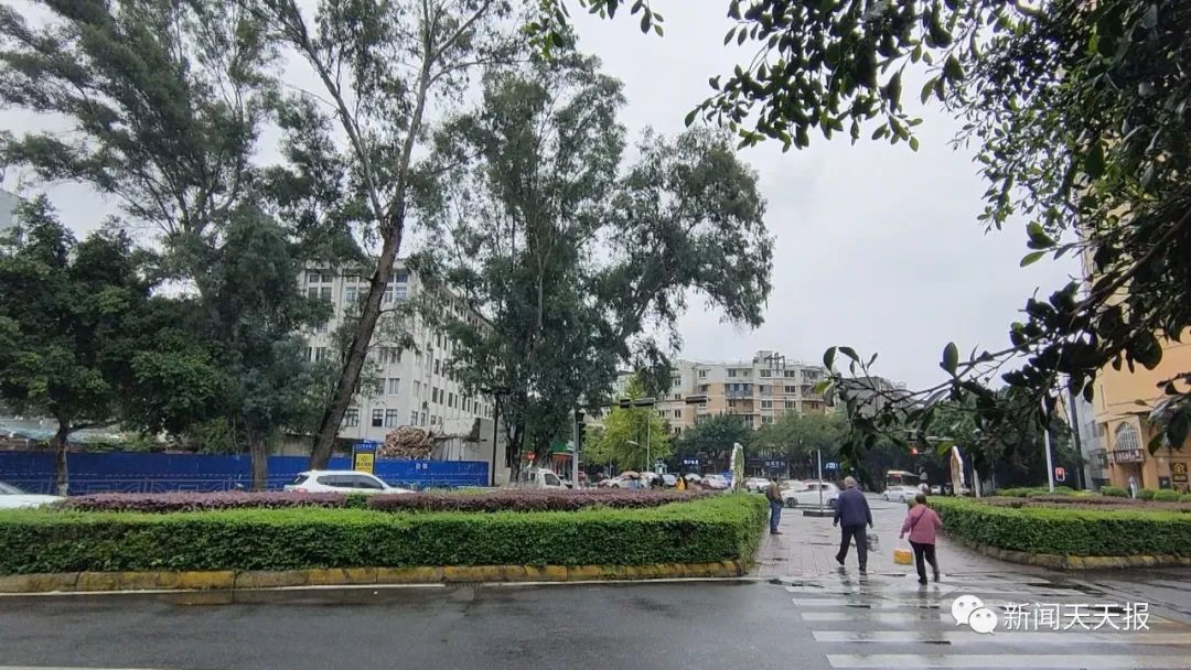 乐山这里的行道树歪着长,市民很担心休闲区蓝鸢梦想 - Www.slyday.coM 乐山这里的行道树歪着长,市民很担心休闲区蓝鸢梦想 - Www.slyday.coM