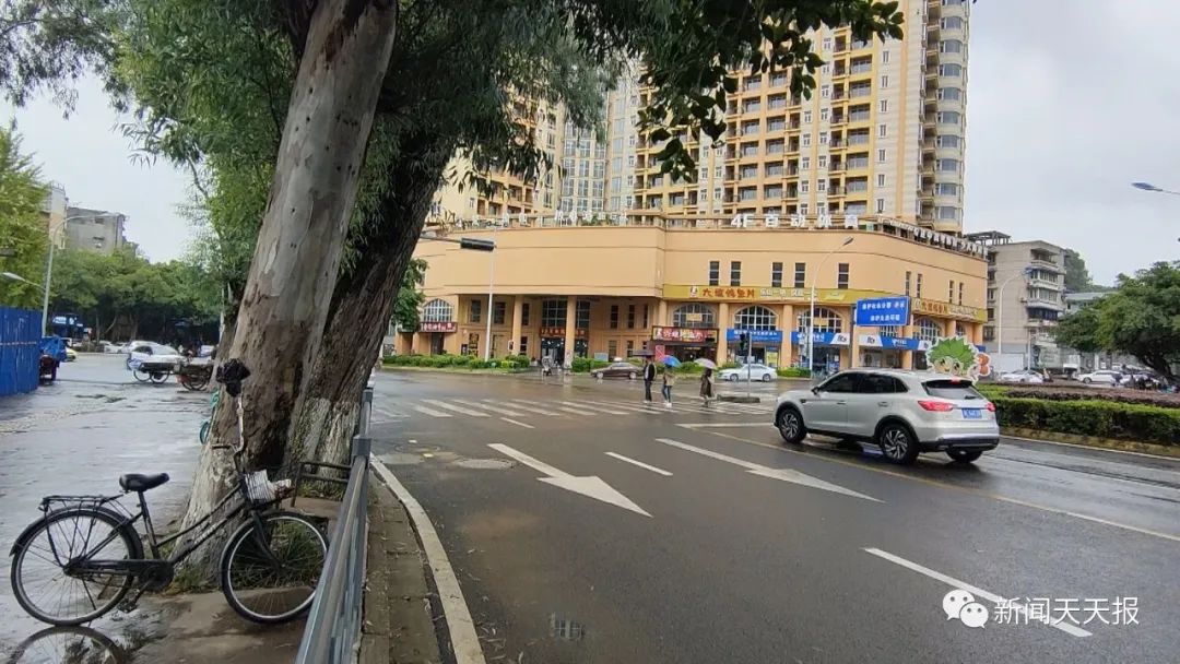 乐山这里的行道树歪着长,市民很担心休闲区蓝鸢梦想 - Www.slyday.coM 乐山这里的行道树歪着长,市民很担心休闲区蓝鸢梦想 - Www.slyday.coM