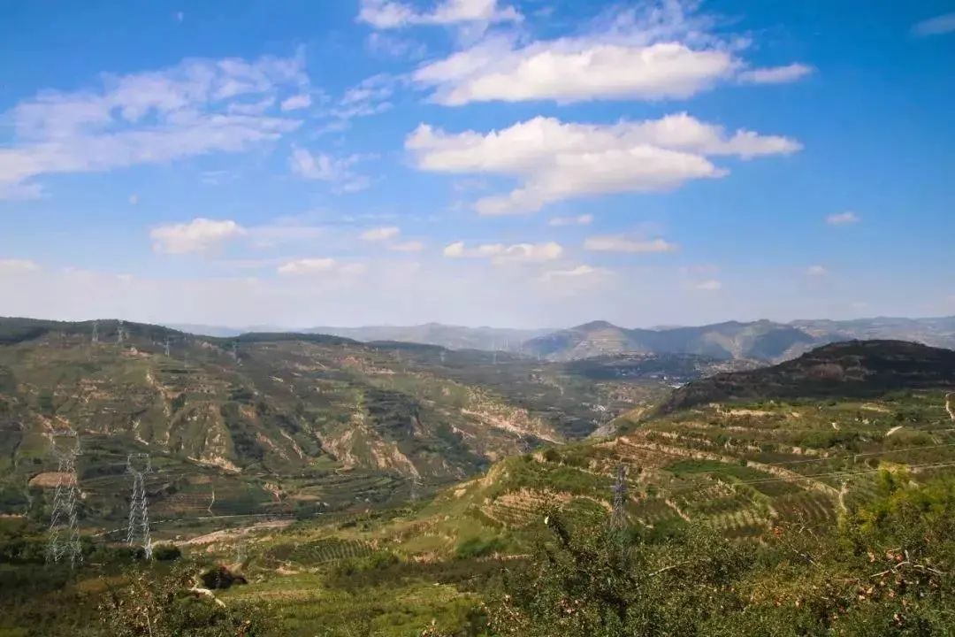 来自深山里的花花牛,入口香甜软糯,价格实惠,比蛇果要好一百倍!休闲区蓝鸢梦想 - Www.slyday.coM 来自深山里的花花牛,入口香甜软糯,价格实惠,比蛇果要好一百倍!休闲区蓝鸢梦想 - Www.slyday.coM