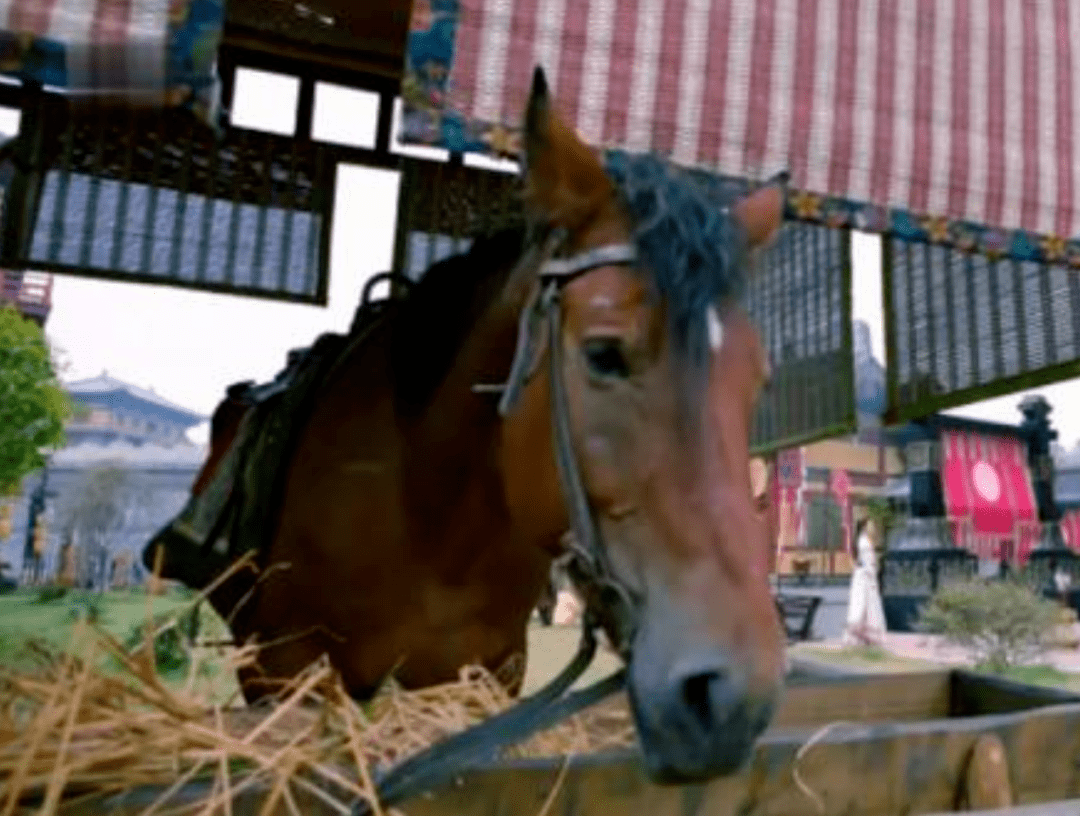 杨幂悬浮、张翰脑袋缺一角,影视剧10大“抠图”事故,给我看笑了休闲区蓝鸢梦想 - Www.slyday.coM 杨幂悬浮、张翰脑袋缺一角,影视剧10大“抠图”事故,给我看笑了休闲区蓝鸢梦想 - Www.slyday.coM