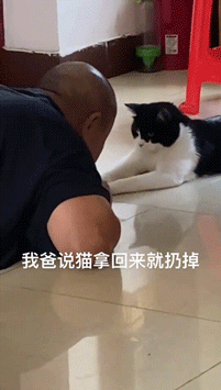 每日一笑:说起来你可能不信,我今天被一条狗给撞了!休闲区蓝鸢梦想 - Www.slyday.coM 每日一笑:说起来你可能不信,我今天被一条狗给撞了!休闲区蓝鸢梦想 - Www.slyday.coM