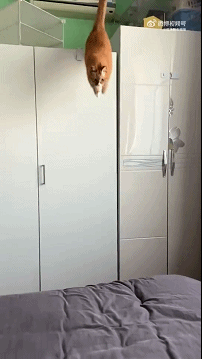 每日一笑:说起来你可能不信,我今天被一条狗给撞了!休闲区蓝鸢梦想 - Www.slyday.coM 每日一笑:说起来你可能不信,我今天被一条狗给撞了!休闲区蓝鸢梦想 - Www.slyday.coM