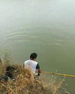 每日一笑:说起来你可能不信,我今天被一条狗给撞了!休闲区蓝鸢梦想 - Www.slyday.coM 每日一笑:说起来你可能不信,我今天被一条狗给撞了!休闲区蓝鸢梦想 - Www.slyday.coM