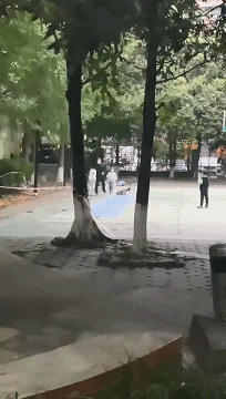 每日一笑:说起来你可能不信,我今天被一条狗给撞了!休闲区蓝鸢梦想 - Www.slyday.coM 每日一笑:说起来你可能不信,我今天被一条狗给撞了!休闲区蓝鸢梦想 - Www.slyday.coM