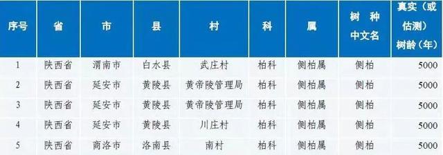 均在陕西!全国仅有的5株5000岁古树休闲区蓝鸢梦想 - Www.slyday.coM 均在陕西!全国仅有的5株5000岁古树休闲区蓝鸢梦想 - Www.slyday.coM
