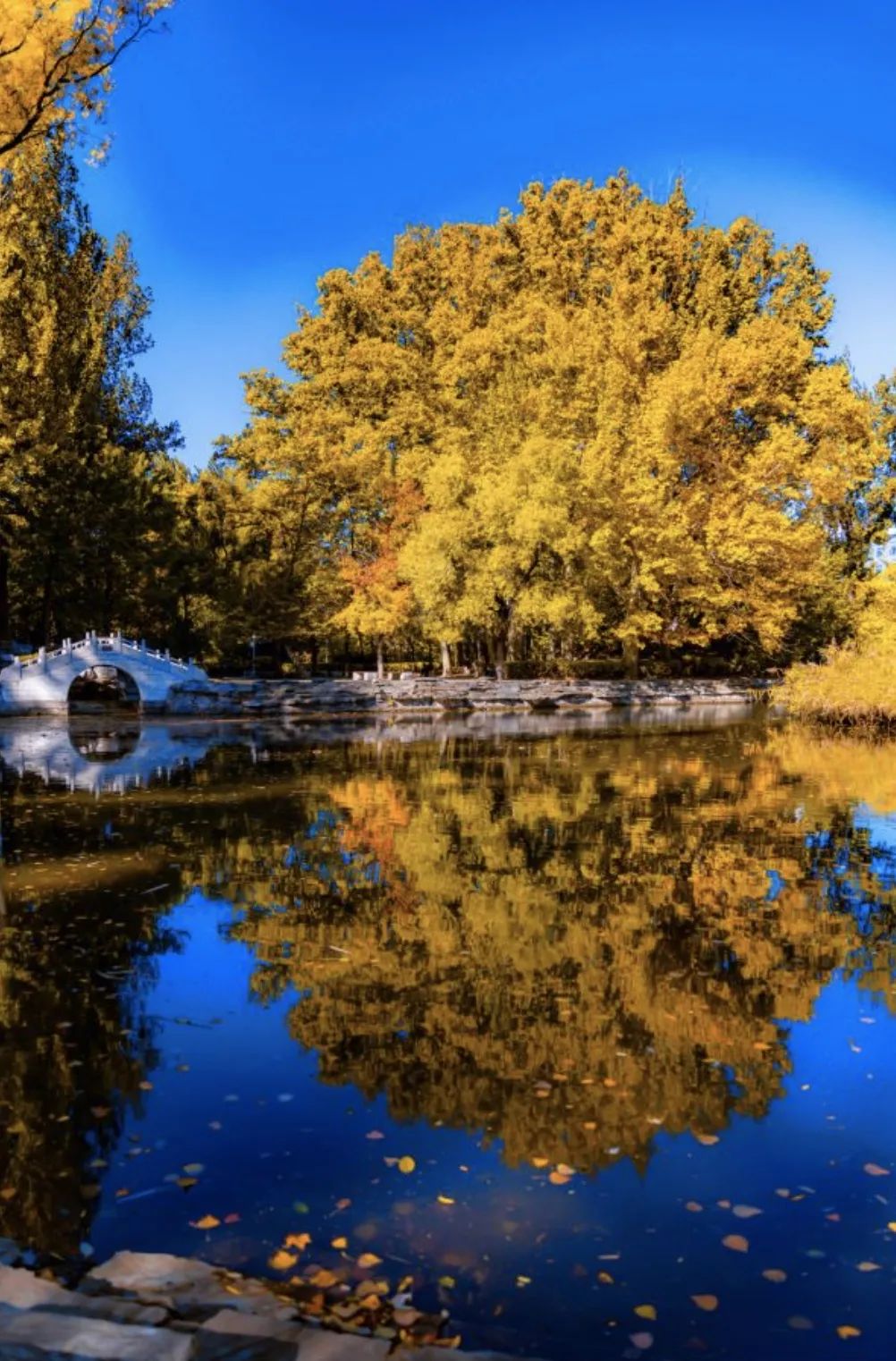 在北京读书上学是一种什么体验?真的太太太太太太...快乐了休闲区蓝鸢梦想 - Www.slyday.coM 在北京读书上学是一种什么体验?真的太太太太太太...快乐了休闲区蓝鸢梦想 - Www.slyday.coM