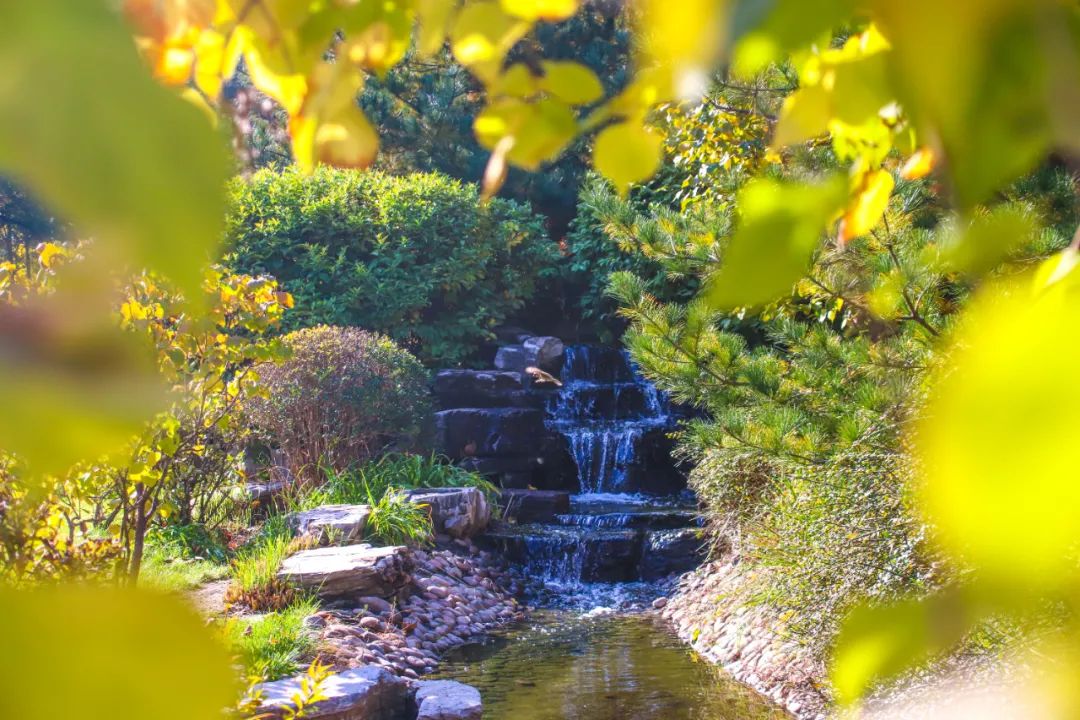 在北京读书上学是一种什么体验?真的太太太太太太...快乐了休闲区蓝鸢梦想 - Www.slyday.coM 在北京读书上学是一种什么体验?真的太太太太太太...快乐了休闲区蓝鸢梦想 - Www.slyday.coM