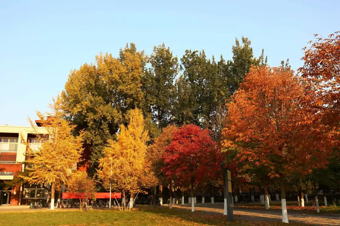 在北京读书上学是一种什么体验?真的太太太太太太...快乐了休闲区蓝鸢梦想 - Www.slyday.coM 在北京读书上学是一种什么体验?真的太太太太太太...快乐了休闲区蓝鸢梦想 - Www.slyday.coM