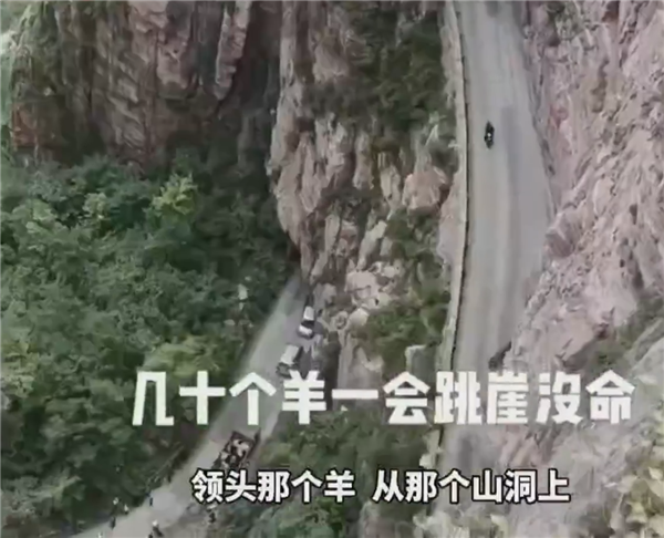 河南辉县近百只山羊接连跳崖坠亡:汽车惊吓 惨不忍睹 损失十几万休闲区蓝鸢梦想 - Www.slyday.coM 河南辉县近百只山羊接连跳崖坠亡:汽车惊吓 惨不忍睹 损失十几万休闲区蓝鸢梦想 - Www.slyday.coM