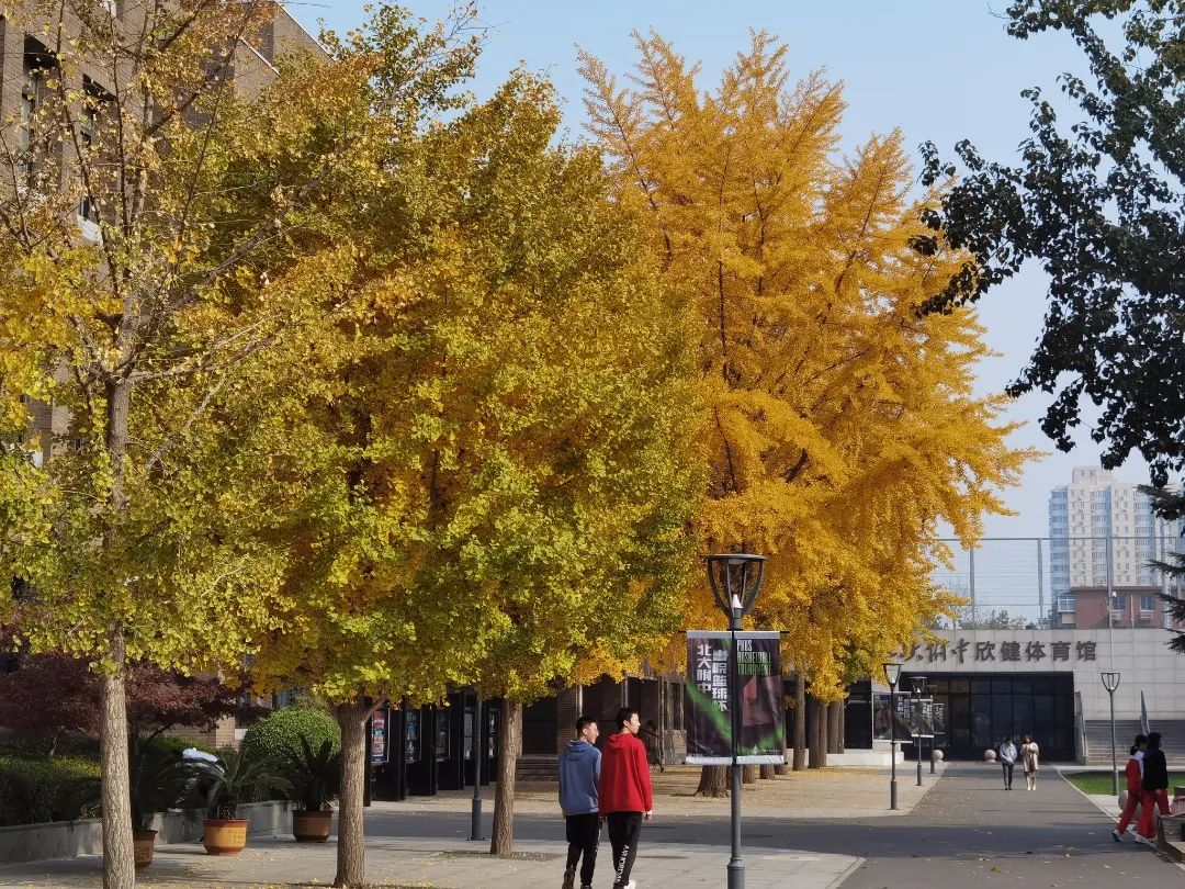 在北京读书上学是一种什么体验?真的太太太太太太...快乐了休闲区蓝鸢梦想 - Www.slyday.coM 在北京读书上学是一种什么体验?真的太太太太太太...快乐了休闲区蓝鸢梦想 - Www.slyday.coM