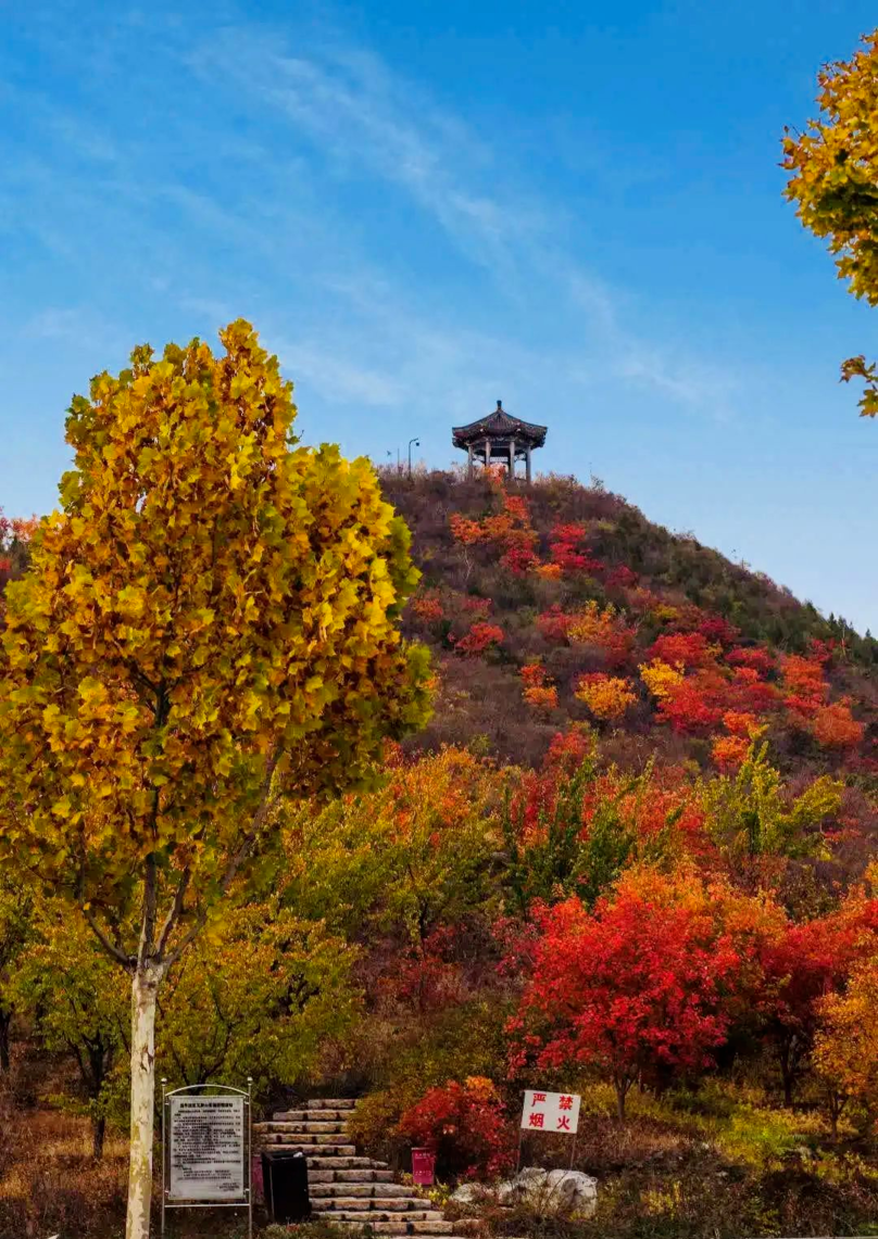 在北京读书上学是一种什么体验?真的太太太太太太...快乐了休闲区蓝鸢梦想 - Www.slyday.coM 在北京读书上学是一种什么体验?真的太太太太太太...快乐了休闲区蓝鸢梦想 - Www.slyday.coM