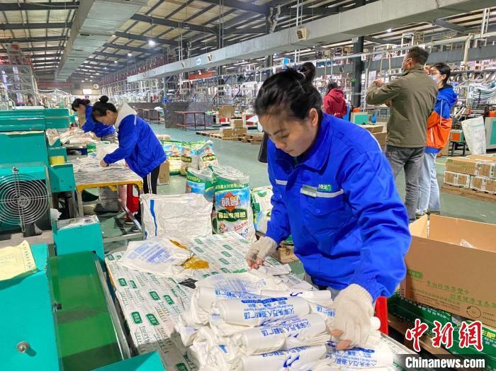 资料图:工厂转向生产可降解塑料袋。 符宇群 摄