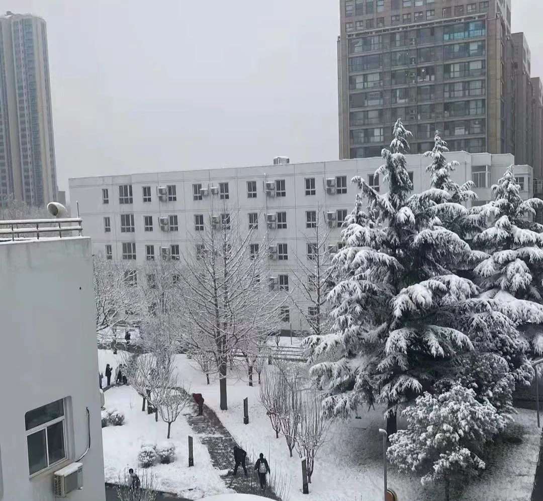 在北京读书上学是一种什么体验?真的太太太太太太...快乐了休闲区蓝鸢梦想 - Www.slyday.coM 在北京读书上学是一种什么体验?真的太太太太太太...快乐了休闲区蓝鸢梦想 - Www.slyday.coM