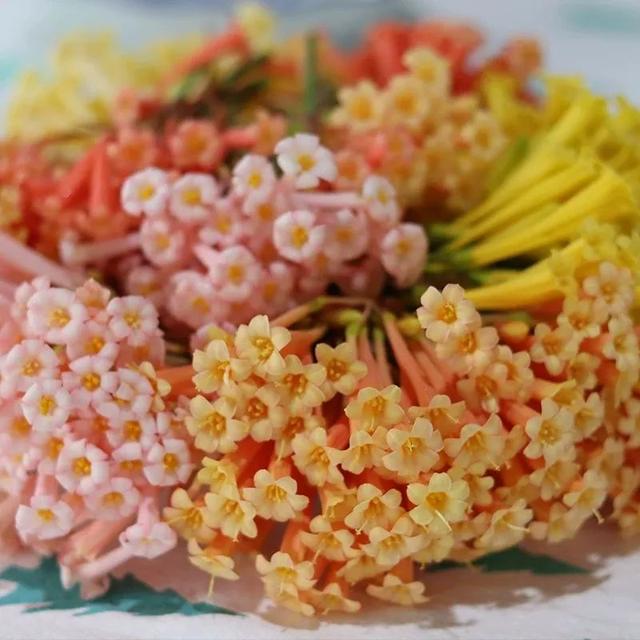 近两年大热的“垂筒花”,学会这样养,能开小半年休闲区蓝鸢梦想 - Www.slyday.coM 近两年大热的“垂筒花”,学会这样养,能开小半年休闲区蓝鸢梦想 - Www.slyday.coM