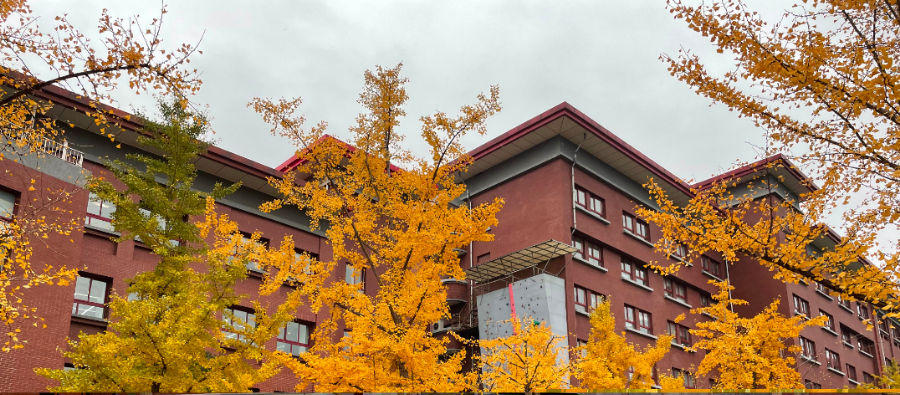 在北京读书上学是一种什么体验?真的太太太太太太...快乐了休闲区蓝鸢梦想 - Www.slyday.coM 在北京读书上学是一种什么体验?真的太太太太太太...快乐了休闲区蓝鸢梦想 - Www.slyday.coM