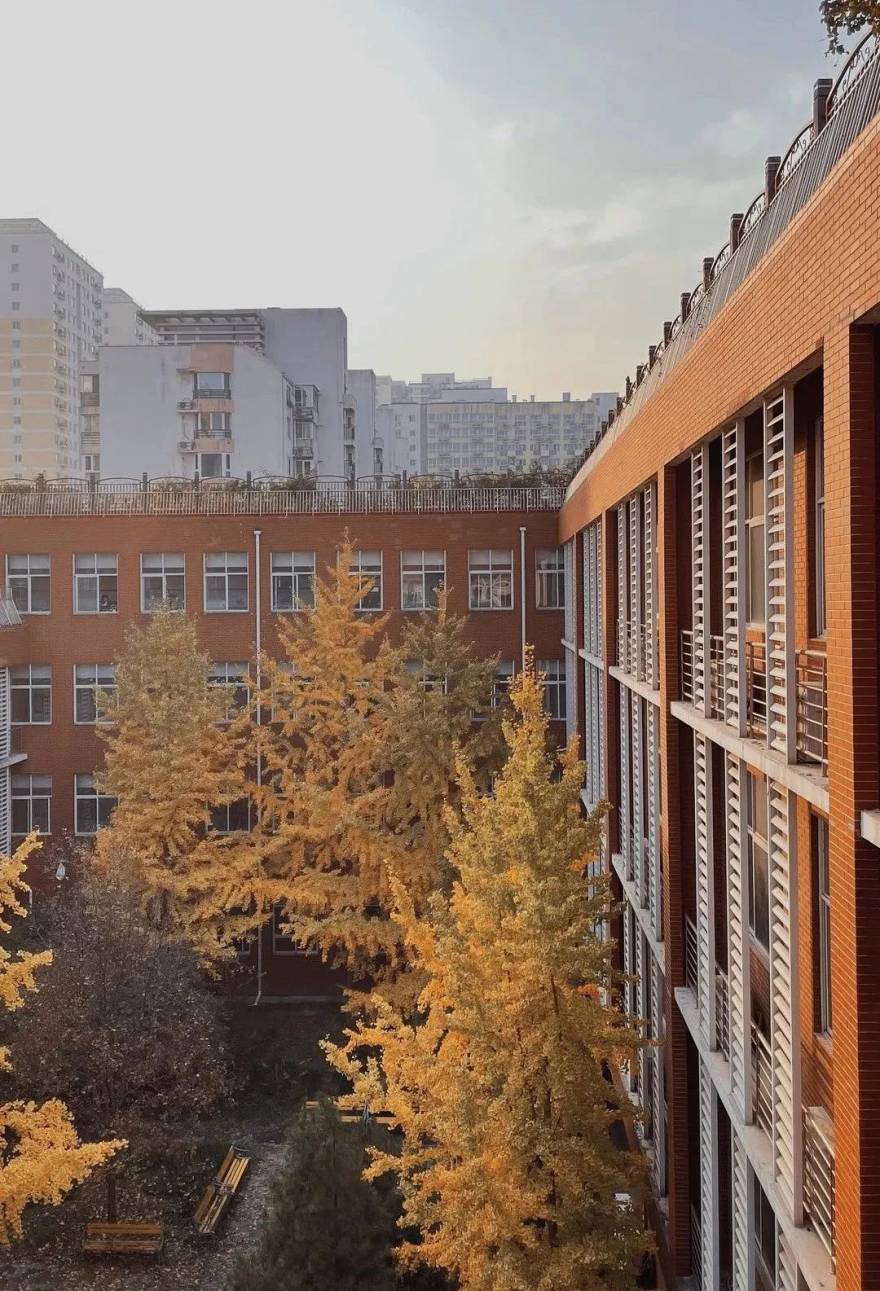 在北京读书上学是一种什么体验?真的太太太太太太...快乐了休闲区蓝鸢梦想 - Www.slyday.coM 在北京读书上学是一种什么体验?真的太太太太太太...快乐了休闲区蓝鸢梦想 - Www.slyday.coM