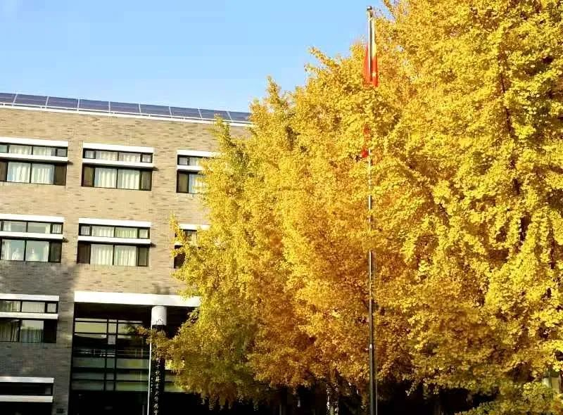 在北京读书上学是一种什么体验?真的太太太太太太...快乐了休闲区蓝鸢梦想 - Www.slyday.coM 在北京读书上学是一种什么体验?真的太太太太太太...快乐了休闲区蓝鸢梦想 - Www.slyday.coM