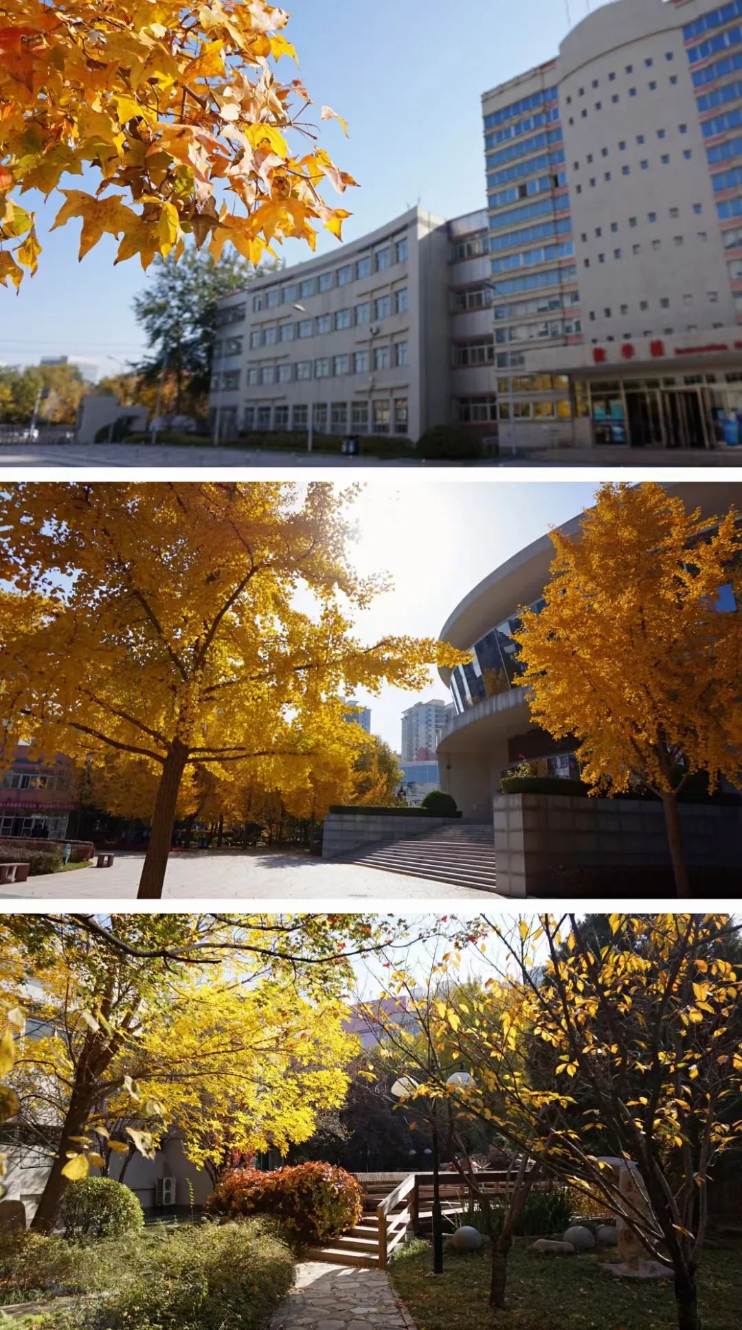 在北京读书上学是一种什么体验?真的太太太太太太...快乐了休闲区蓝鸢梦想 - Www.slyday.coM 在北京读书上学是一种什么体验?真的太太太太太太...快乐了休闲区蓝鸢梦想 - Www.slyday.coM