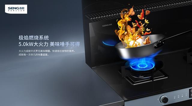 集成灶怎么选?5个理由让你无法拒绝这个厨房好物休闲区蓝鸢梦想 - Www.slyday.coM 集成灶怎么选?5个理由让你无法拒绝这个厨房好物休闲区蓝鸢梦想 - Www.slyday.coM