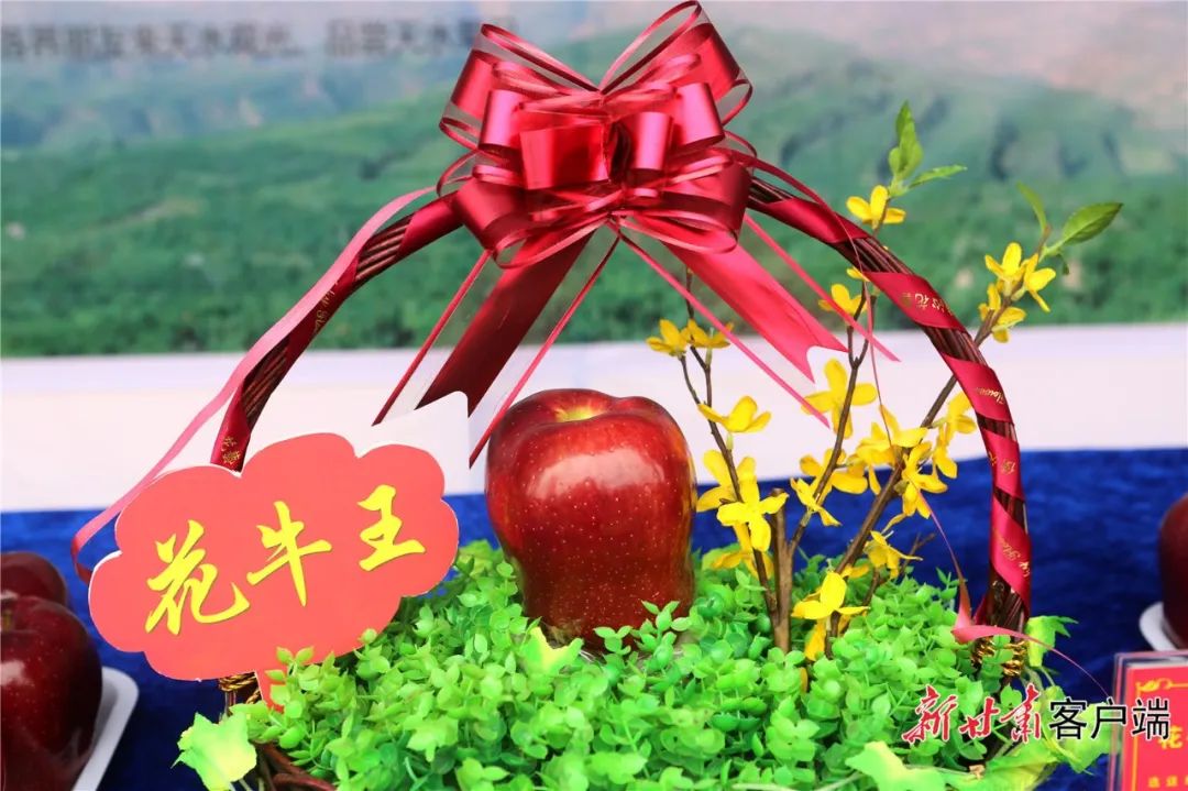 (图片由天水日报记者 张文都/摄)