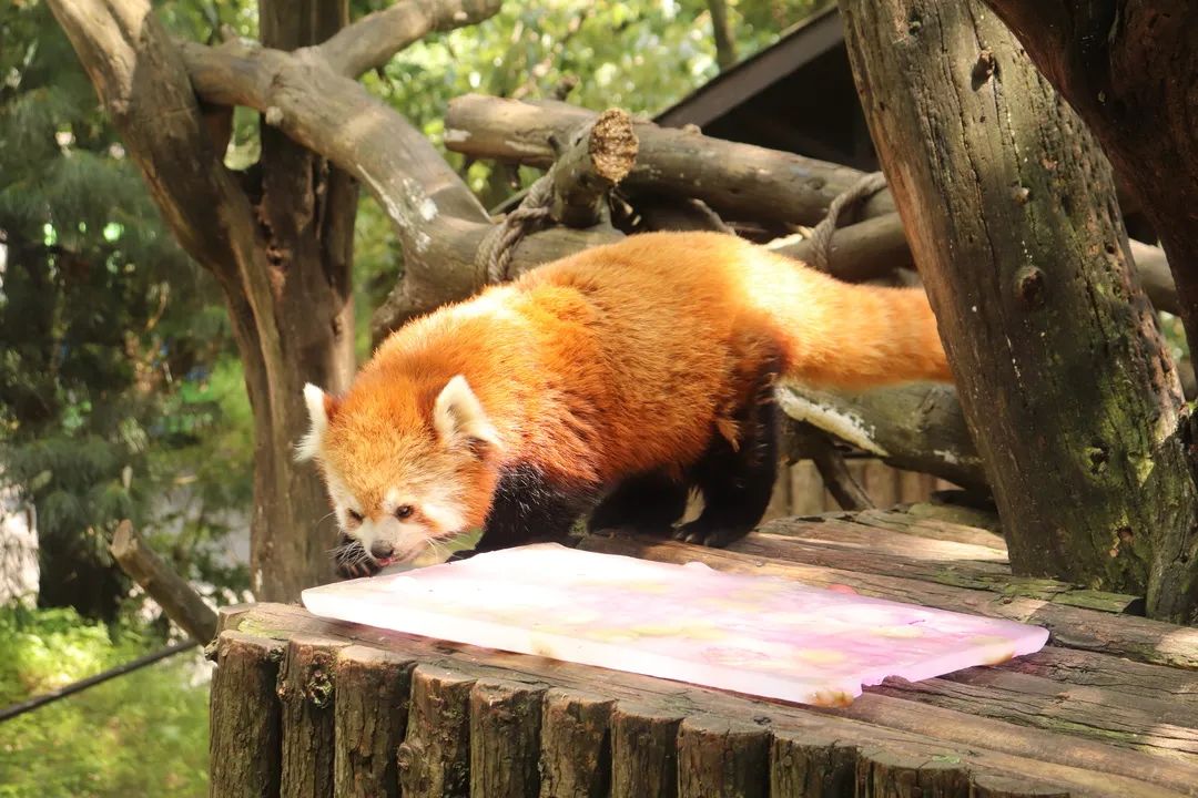 【寻美云南·昆明·盘龙】哎呀!盘龙区的道路名CP有点好嗑啊~休闲区蓝鸢梦想 - Www.slyday.coM 【寻美云南·昆明·盘龙】哎呀!盘龙区的道路名CP有点好嗑啊~休闲区蓝鸢梦想 - Www.slyday.coM