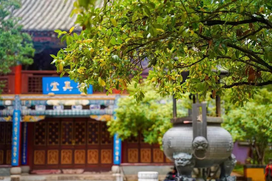 【寻美云南·昆明·盘龙】哎呀!盘龙区的道路名CP有点好嗑啊~休闲区蓝鸢梦想 - Www.slyday.coM 【寻美云南·昆明·盘龙】哎呀!盘龙区的道路名CP有点好嗑啊~休闲区蓝鸢梦想 - Www.slyday.coM